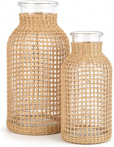 DOITOOL Rattan Vase Boho Woven Glass Vase, Country Rustic Style Wicker Floral Container, Farmhouse Flower Bottle for Floral Arrangements Housewarming Wedding Party Decoration (S+L)