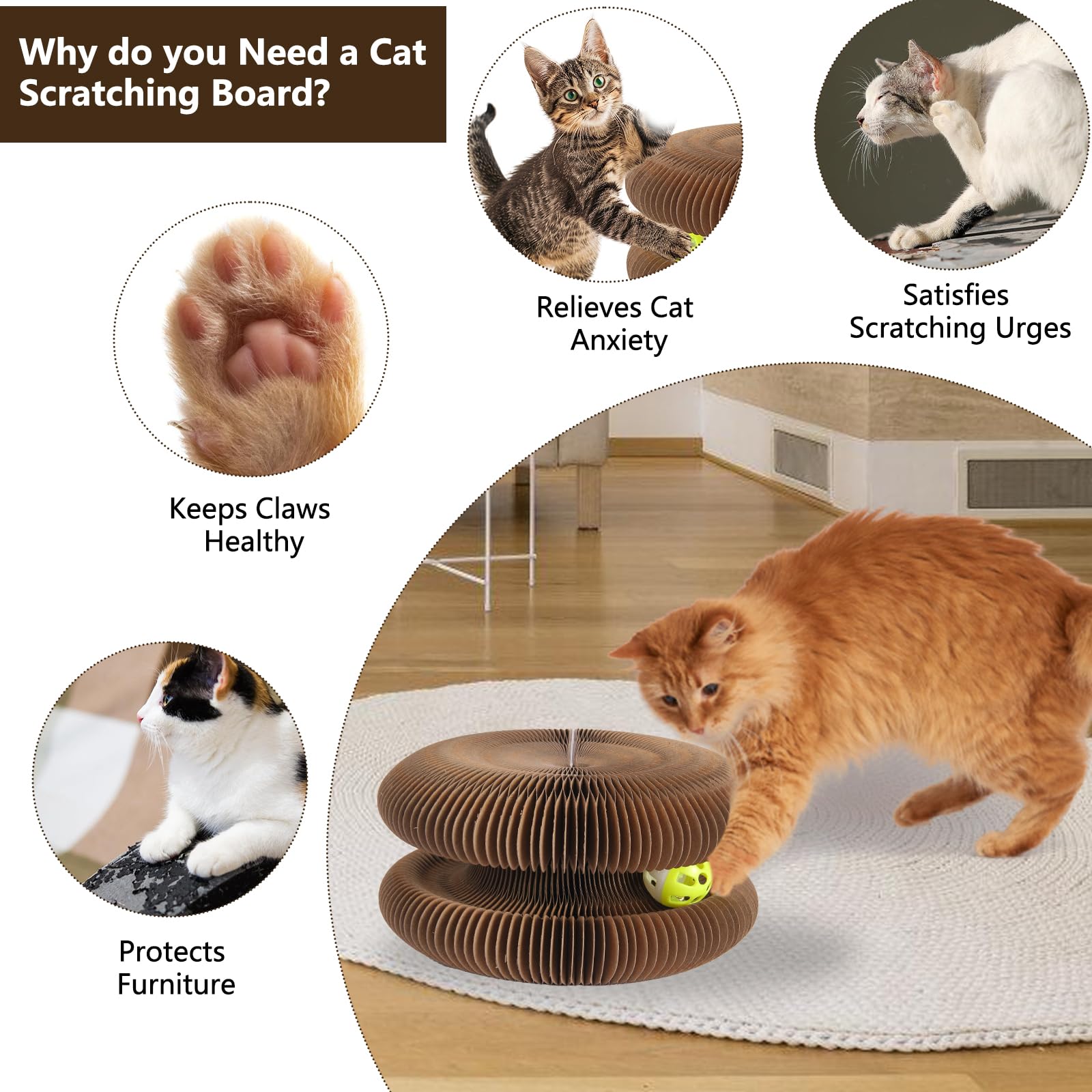 Tiragraffi Per Gatti Magic Organ Con Palla - Cartone Ondulato Riciclabile, Letto E Gioco, 11x6x10cm - Foto 11