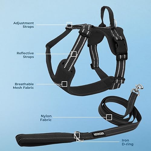 Miniatura 3 de Air Frontier - Arnés de malla para perro con correa reflectante para perro, costuras reflectantes y diseño ligero transpirable sin tirones, correas