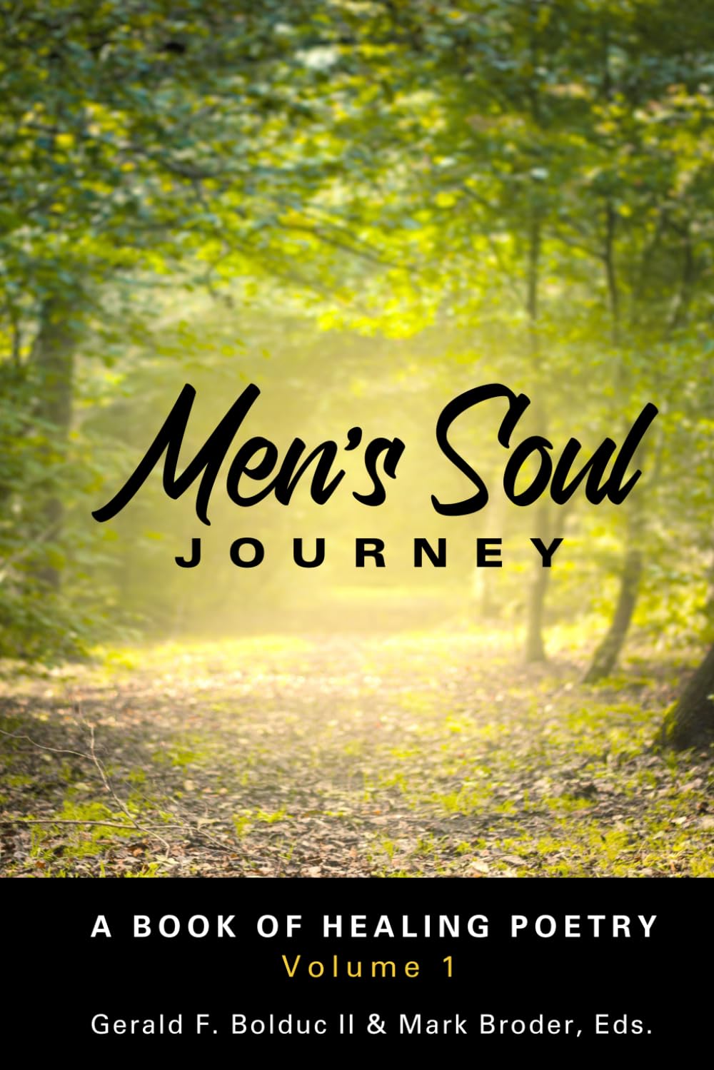 Men's Soul Journey: A Book of Healing Poetry