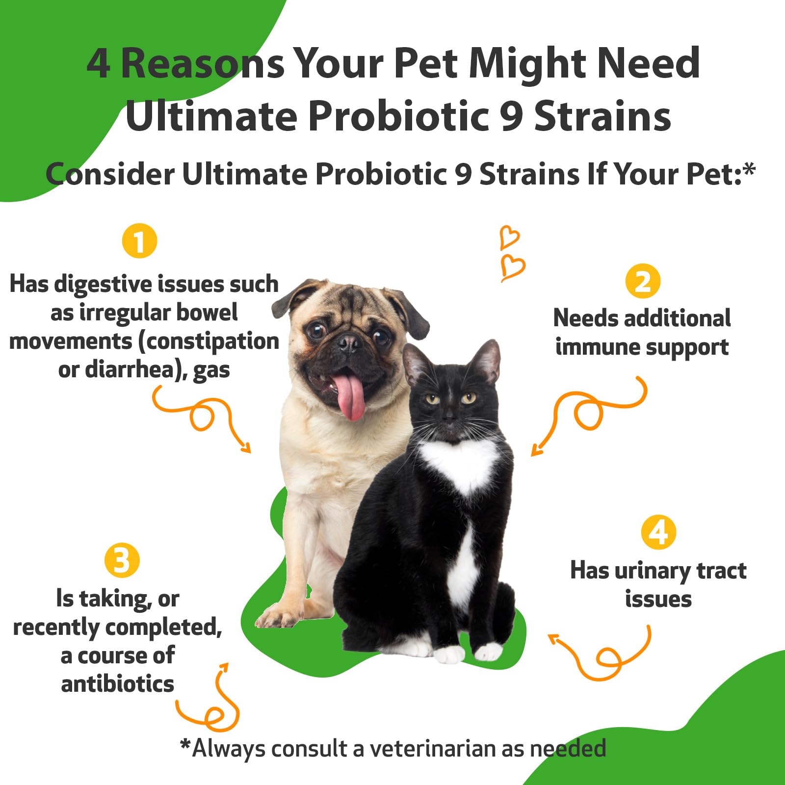 Pet Wellbeing Ultimate Probiotic 9 Strains for Dogs & Cats - Supports the Gut Microbiome and Digestion, Immune System Care, Urinary Tract Health, FOS, 2.5 billion CFU - 5.64 oz (160 g) Powder - Image 2