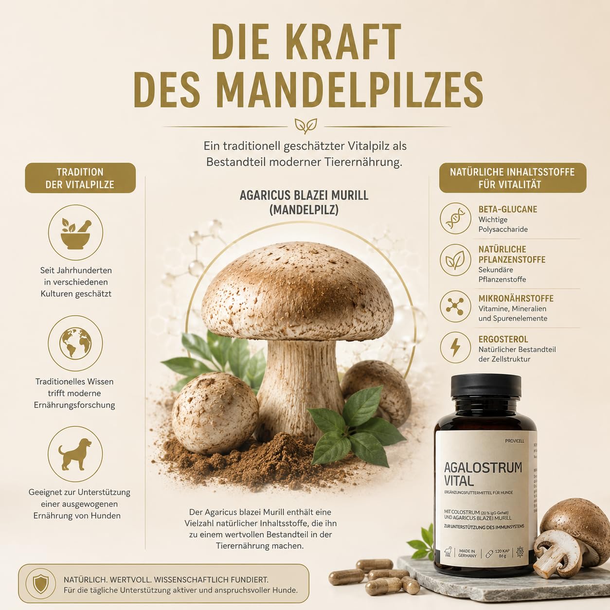 Agalostrum Vital für Hunde - Colostrum Kapseln für Hunde – 120 Kapseln – Mit Colostrum (20% IgG) & Mandelpilz – Zur Unterstützung des Wohlbefindens & Abwehrkräfte - Made in Germany