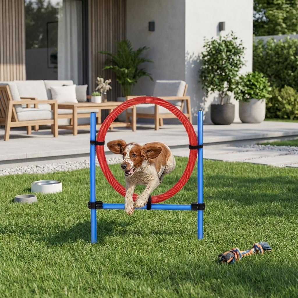Cerceau d’Agilité pour Chien en Plastique avec Supports Métalliques Ajustables – Entraînement Canin Ludique et Renforcement de l’Agilité et de la Coordination