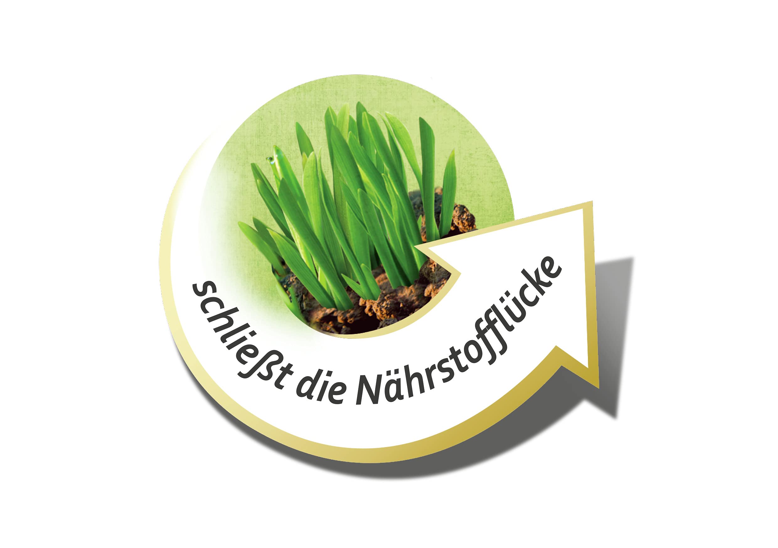 COMPO Rasen-Langzeitdünger für Mähroboter 5kg