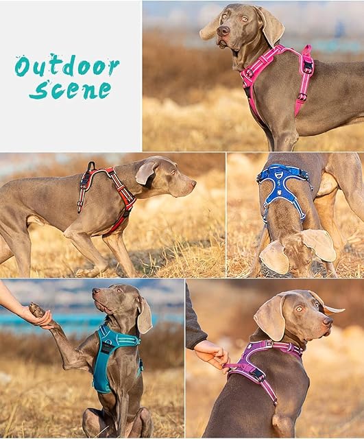 Foto 4 de 5 de WINHYEPET True Love Arnés para Perros sin tirones Arnés para Mascotas Extra Reflectante para Perros pequeños
