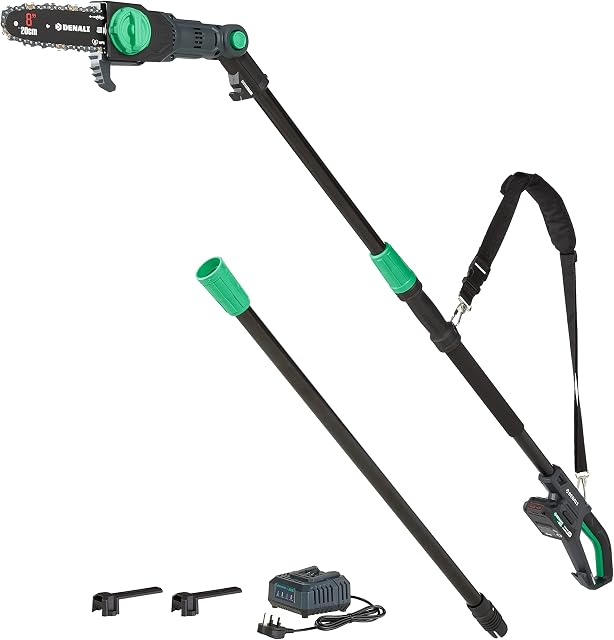 Amazon Brand - Denali by SKIL 18 V (20V MAX) Brushed 20 cm Pole Saw Kit, Includes 2.0Ah Lithium Battery and Charger, Blue