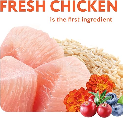 Miniatura 4 de OPtimeal Tender Morsels - Comida húmeda para gatos  Orgullosamente ucraniano  Receta húmeda de comida para gatos con bocados reales en salsa,