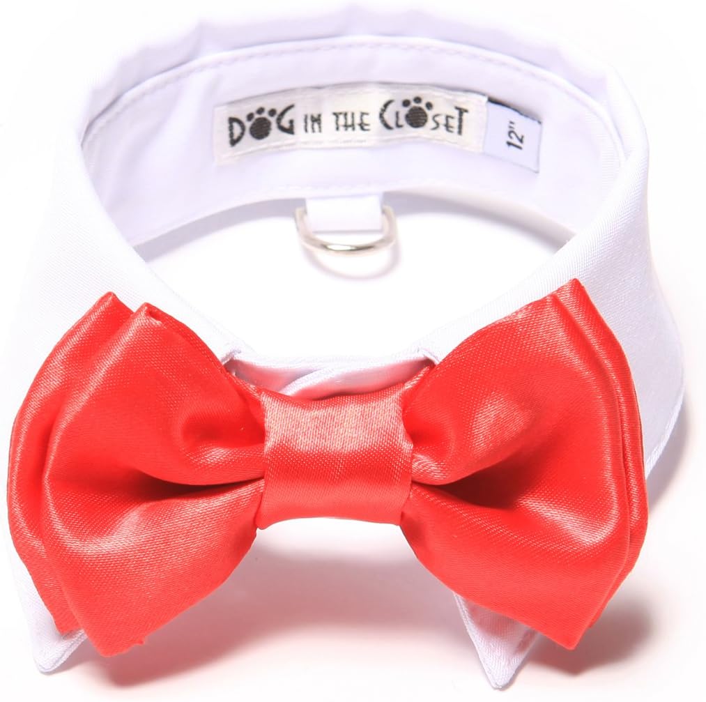 White Shirt Dog Collar with Red Bow Tie 18"