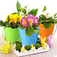 Vista 7 de Sadnyy 12 paquetes de cubos de metal con asa, cubo galvanizado de 4.5 x 5 pulgadas, cesta para suministros de fiesta, manualidades para Navidad