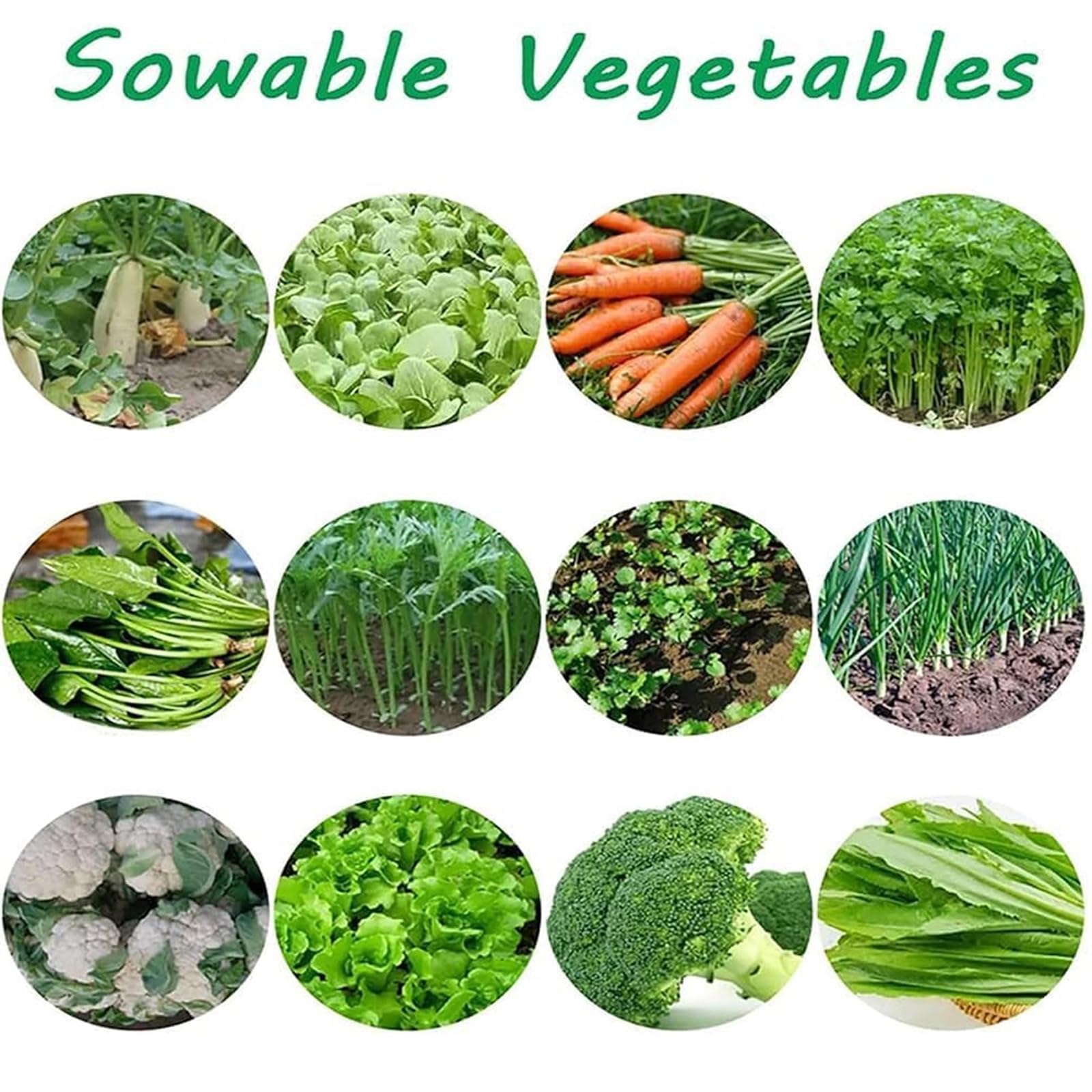 Sämaschine Hand,Gemüsesämaschine für Sojabohnen & ErdnüsseKohl, Radieschen,Sämaschine Rasen für Hobbygärtner Gartenstreuer, Einstellbarer Pflanzen Und Reihenabstand(Size:2line,Color:Stil-A)