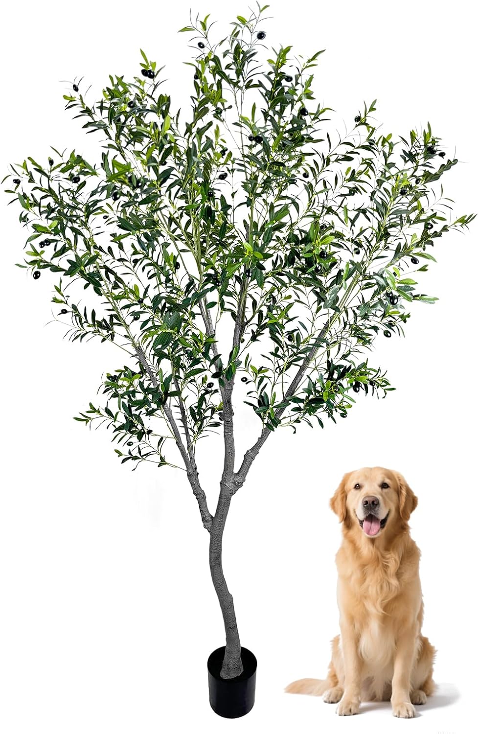 Faux Olive Tree, 8 Feet Realistic Faux Olive Tree Trunks & Leaf Fruits for Home Décor Accents, Perfect for Living Room & Office - Olive Trees Artificial Indoor