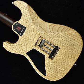 SAITO GUITARS S-622TLC Naked サイトウギター送料無料 SAITO GUITARS S-622TLC Naked 2.86kg〈サイトウギターズ