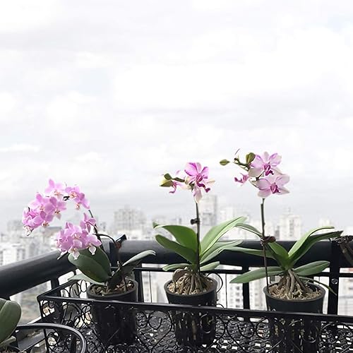 Miniatura 7 de Macetas de red de 3 pulgadas para hidroponía, 30 paquetes con etiquetas para plantas, 30 unidades, copas de red de boca ancha resistentes, macetas