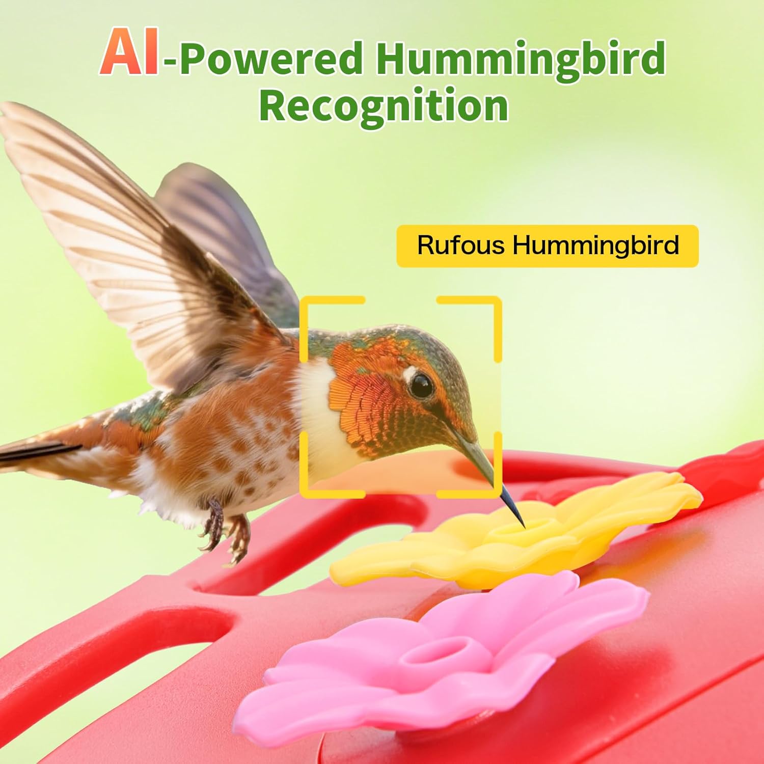 Smart Glass Hummingbird Feeder with Camera, Solar Powered 2K HD Hummingbird Feeders for Outdoors Hanging, AI Identifies & Auto Recording, Leak-Proof Ant & Bee Proof, Ideal Gift for Bird Lovers - Image 3