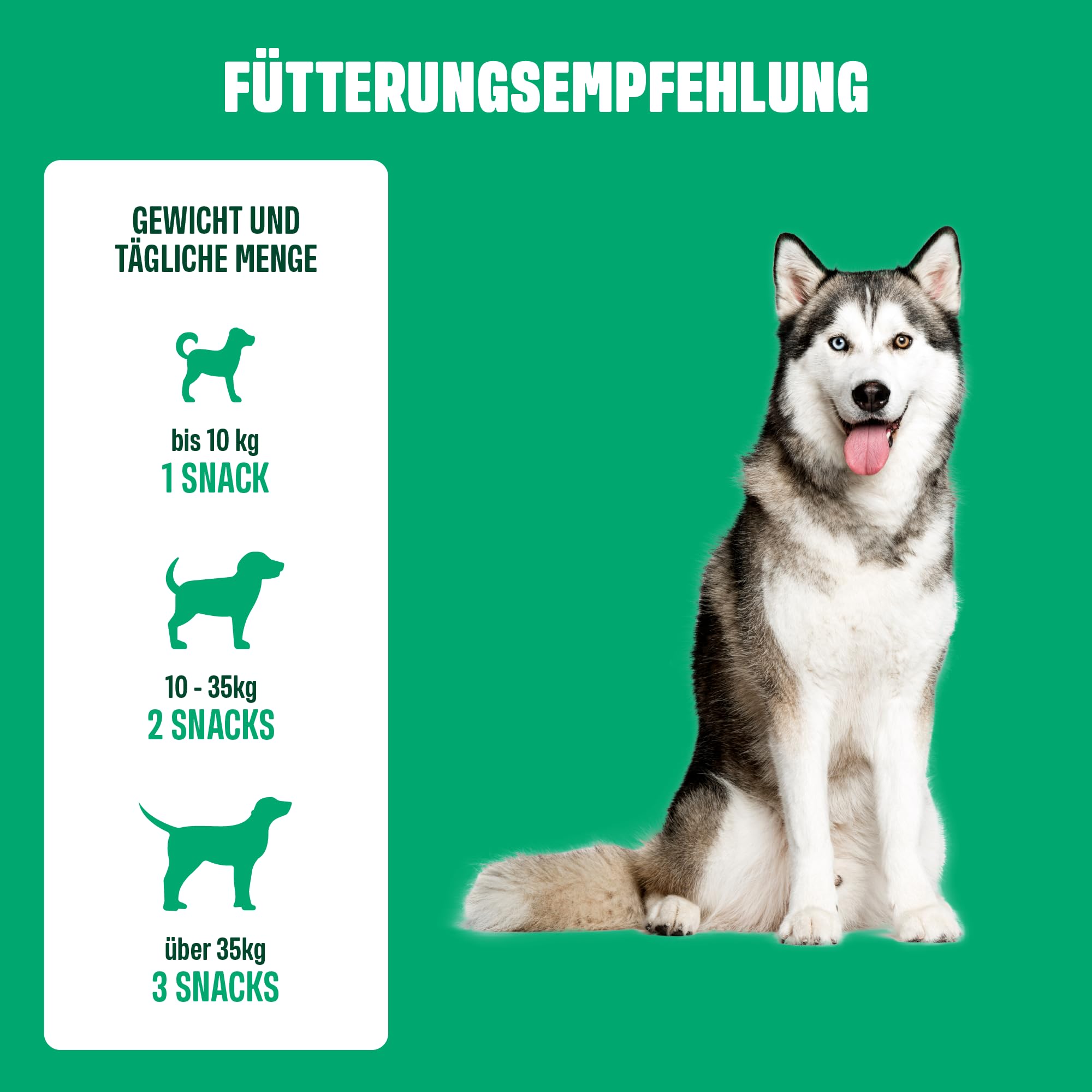 ivvi Ulmus für Hunde – Weiche Ulmenrinde Snacks mit Kürbis & Leinsamen – Verdauungssnacks mit 30% Huhn – Für Sensible Hunde & eine ausgewogene Verdauungsroutine – 270g, 60 Snacks