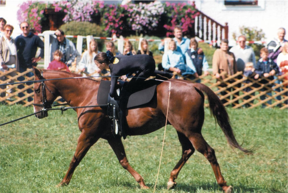 AMKA Voltigiergurt Cheval Warmblut mit runden Griffen und 2 Beinschlaufen, schwarz 057/88