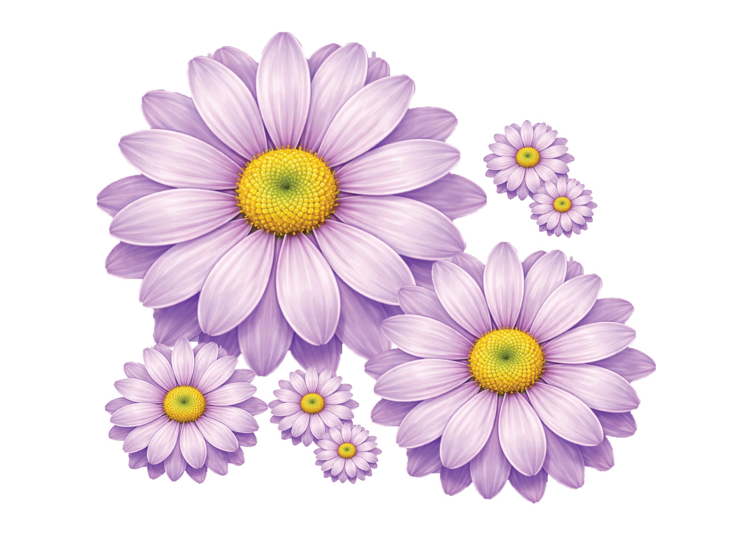 Calvero Studio Girls Purple 10 Colourful Daisy Flower Stickers, Cute Flower Decal Stickers, Wall Stickers For Bedroom, Suitcase Stickers, Ideal For Bin, Car, Laptop, Bike, Wall, Dustbin. Camper Van (Purple)