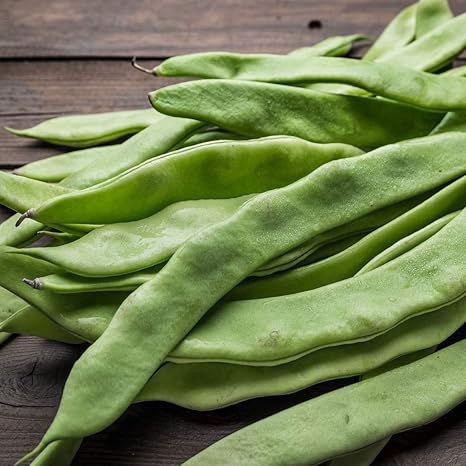 Vegetable Plants Runner Beans Large Plant Pack Amazon Co Uk Garden Outdoors Vegetable Plants Runner Beans Large Plant Pack Amazon Co Uk Garden Outdoors