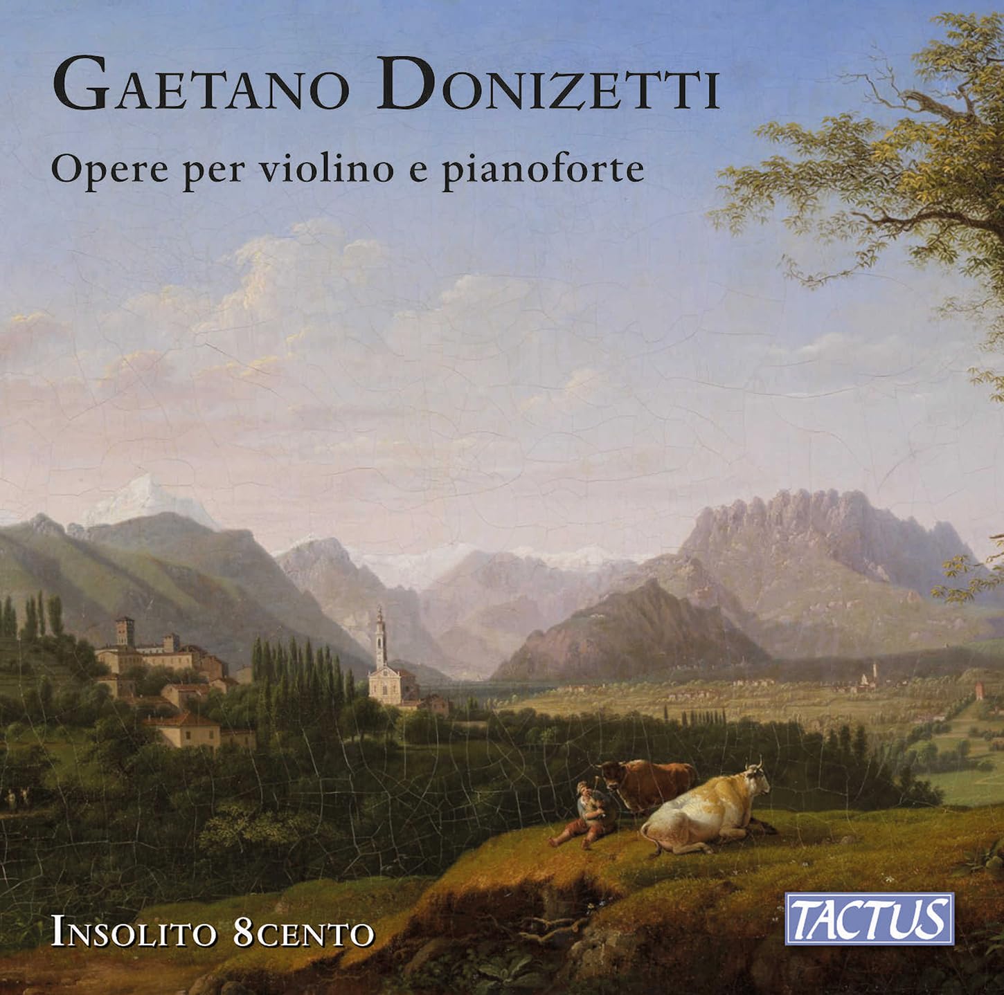 Gaetano Donizetti: Works for violin and piano