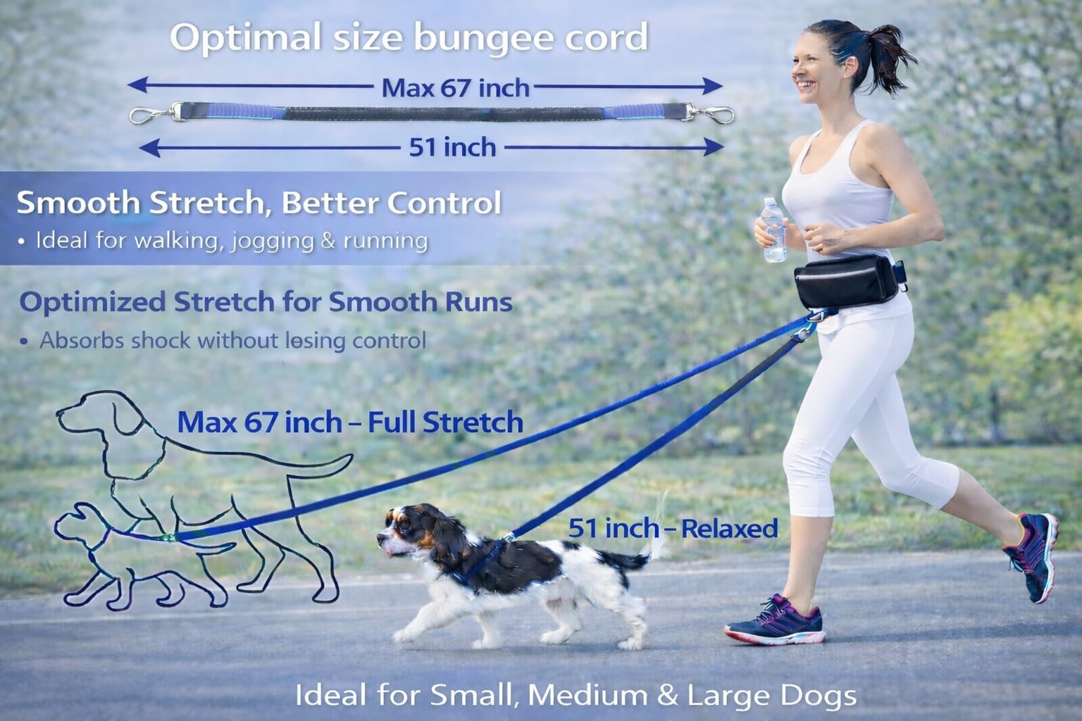 Correa para perro manos libres, correa para correr con cinturón de cintura, costuras reflectantes y asas acolchadas dobles, elástico sin tirones para caminar, trotar y senderismo, ideal para