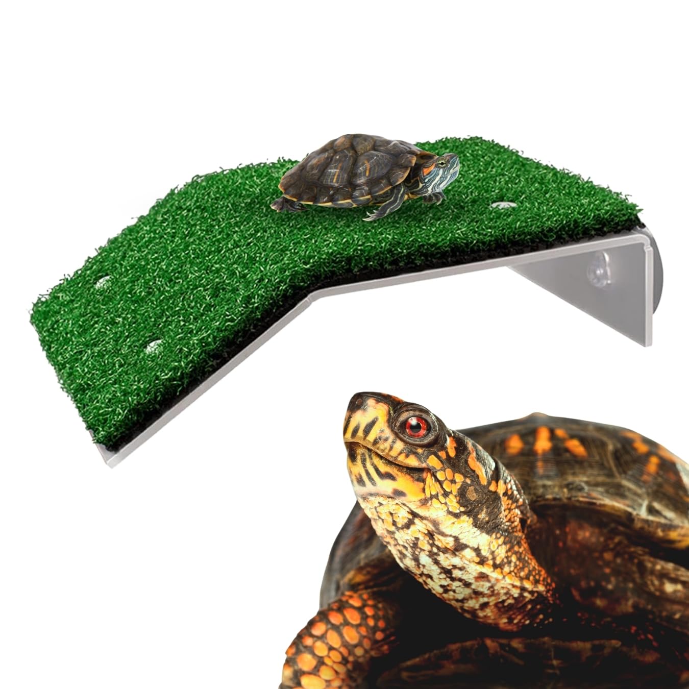Western Era Turtle Platform Grass Provides a Natural and Inviting basking Area for Turtles in Aquariums. Its Easy-to-Clean Design ensures Hassle-Free Maintenance. This Reptile Habitat Enrichment.-image-48