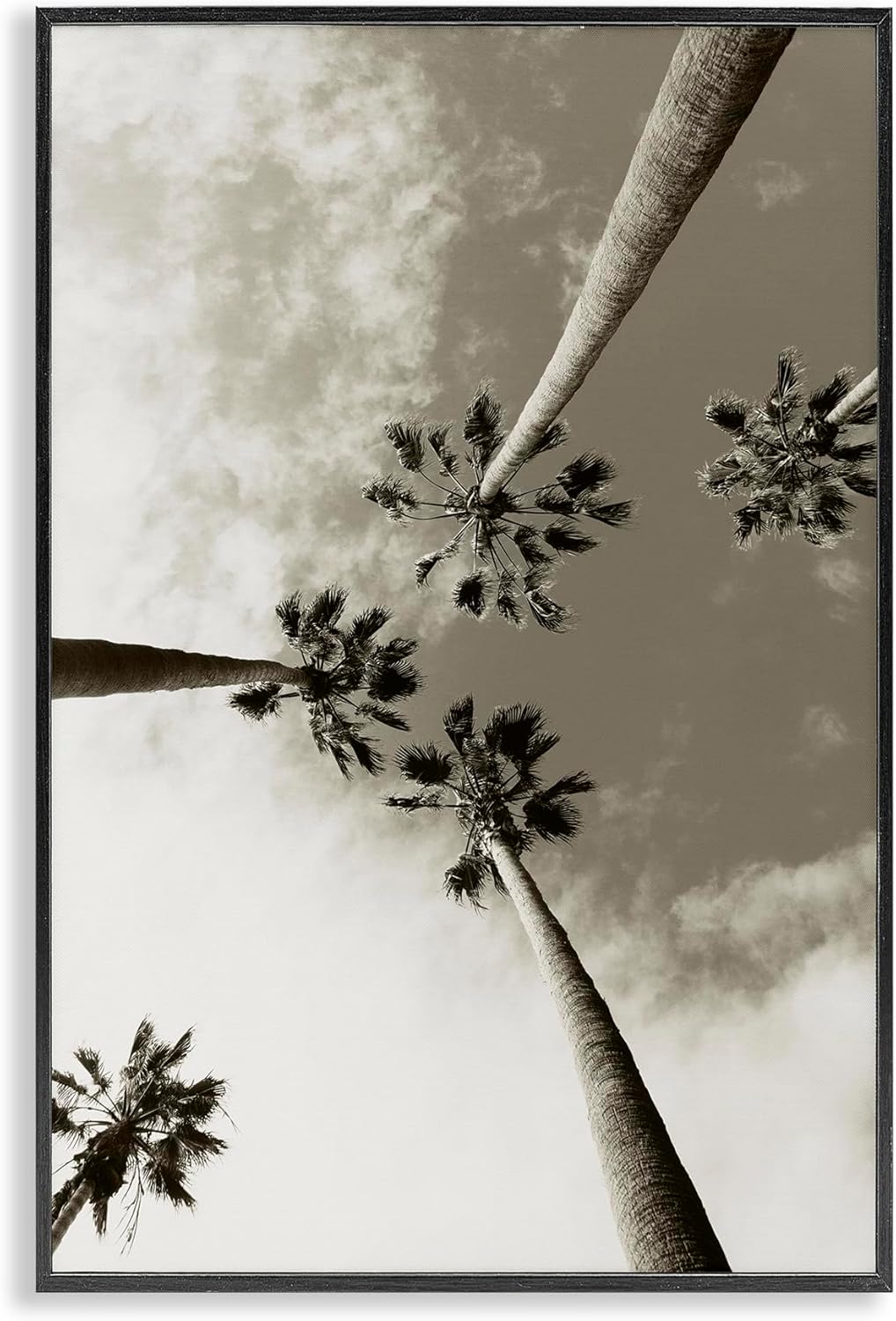 Stupell Industries Centric Palm Trees Framed Giclee Art Design by Wil Stewart