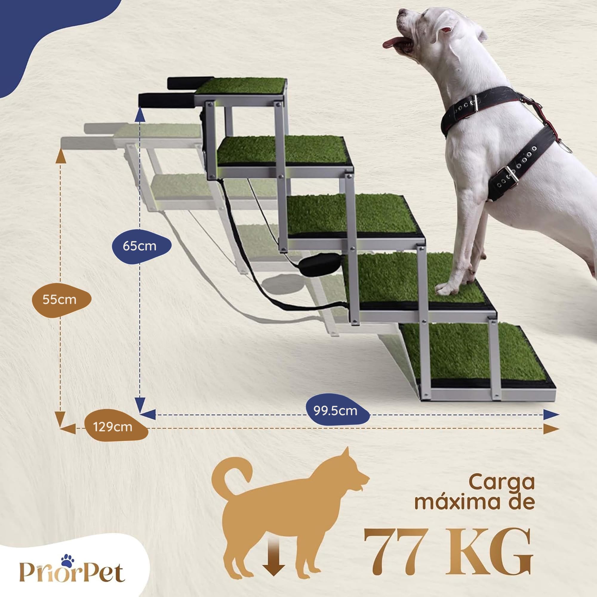 Escalera para Perros pequeños y Grandes - Marca Que Brilla en la Oscuridad - Superficie de césped Artificial Antideslizante - Rampa de Coche Plegable - Apto para Todos los Coches - 5 Escalones