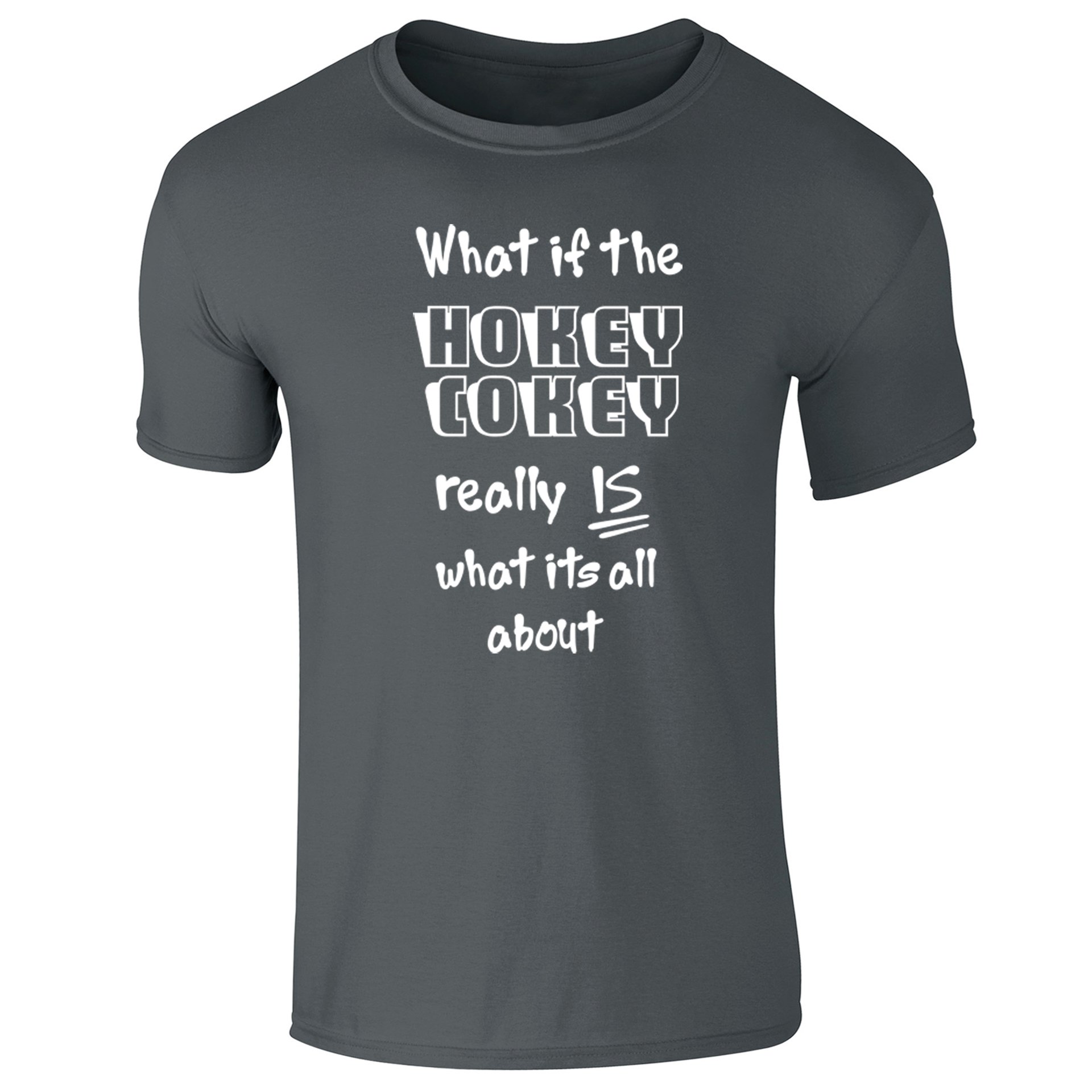 Flip Mens Funny Slogan T-Shirt What If The Hokey Cokey Really is What Its All About Charcoal Grey (L)