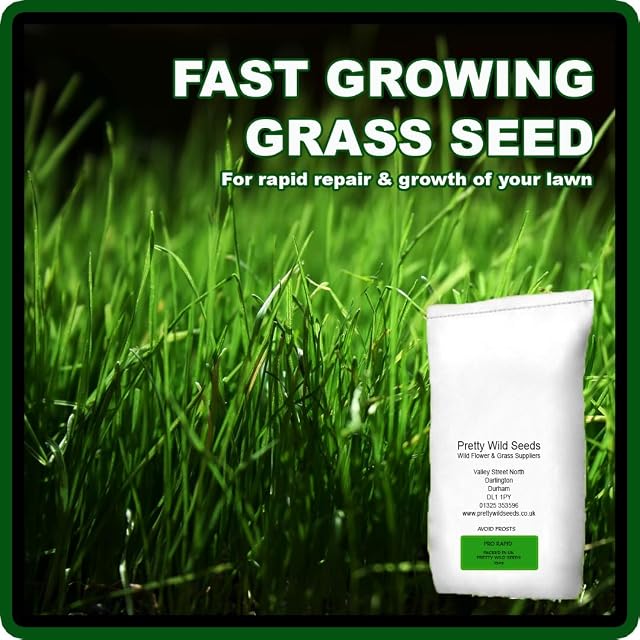 Fast Growing Rapid Lawn Recovery Grass Seed Amazing Quick Repair Pets Dogs by Pretty Wild Seeds (1kg)