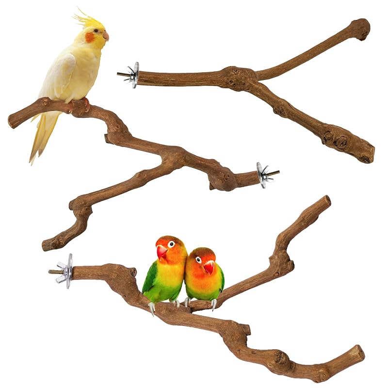 Poleiro para Aves de Madeira Natural de Videira com Instalação sem Ferramentas Agroria, Pacote com 3
