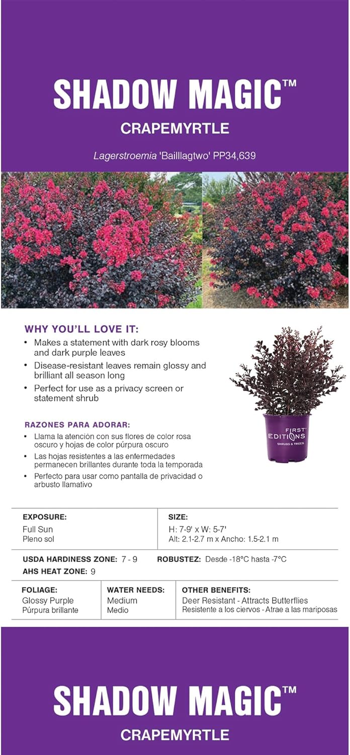 2g First Editions Crape Myrtle Shadow Magic