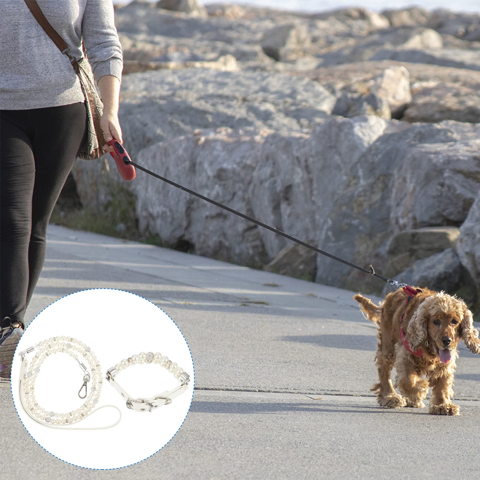 YARNOW Juego De 6 Collares Y Correas De Lujo para Perros Collares Calmantes De Moda para Perros Correas para Mascotas.