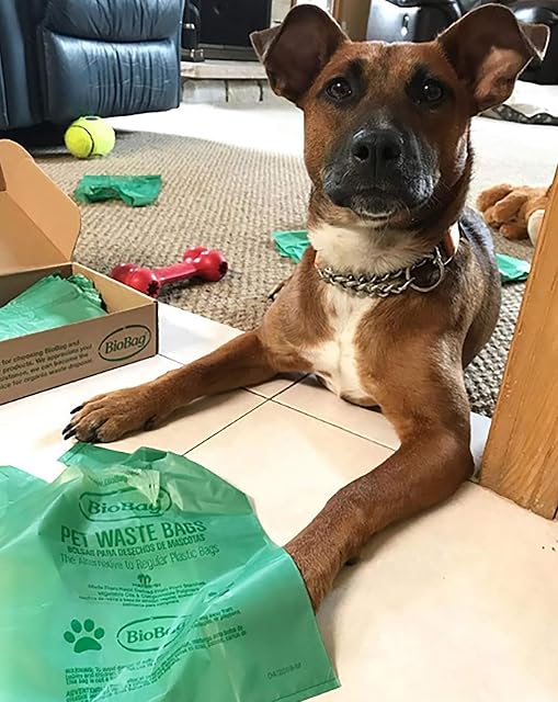 Foto 4 de 5 de Bio Bag Premium Bolsas de residuos de mascotas con asas, tamaño estándar, 150 unidades