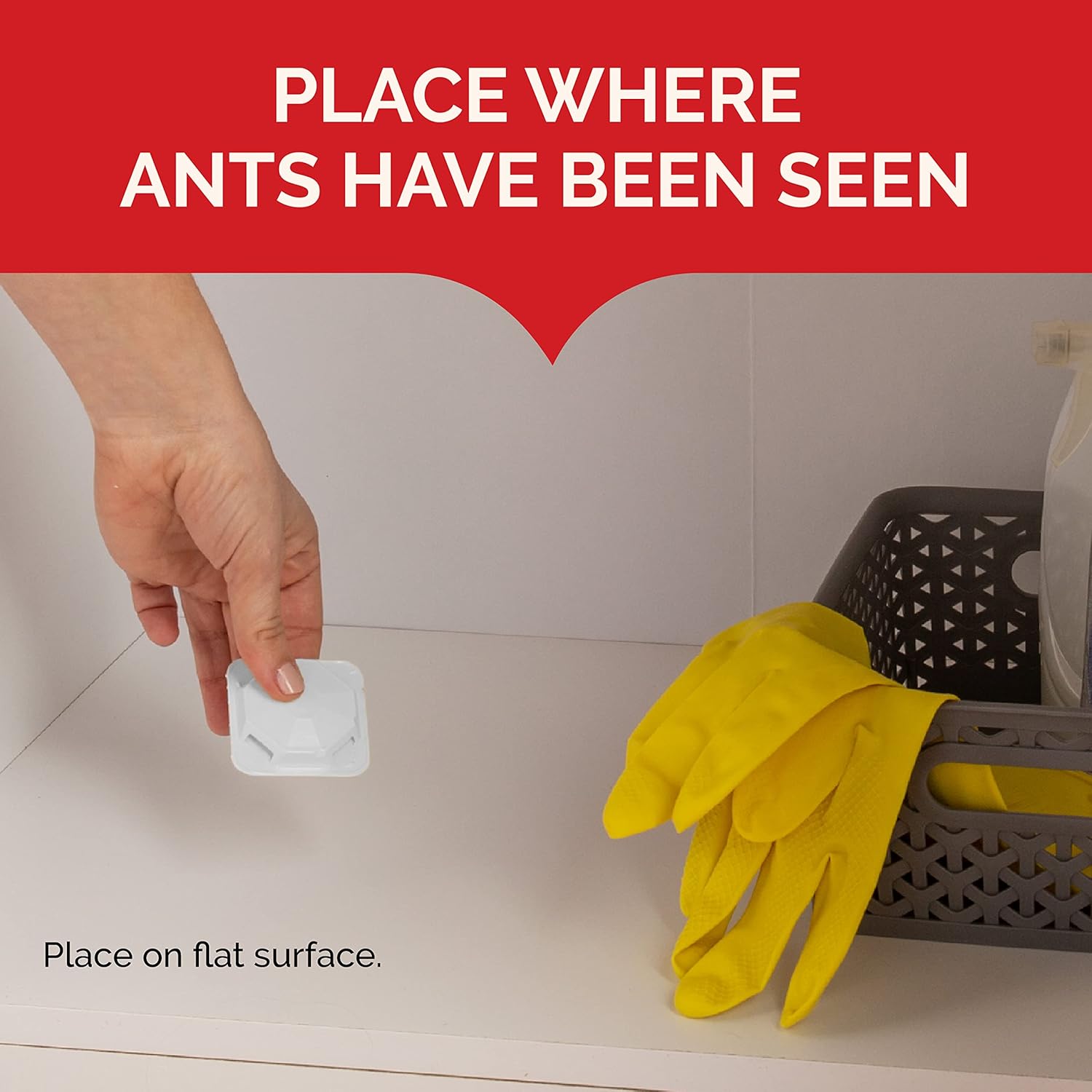 Hand placing a white ant bait station on a flat surface inside a cabinet.