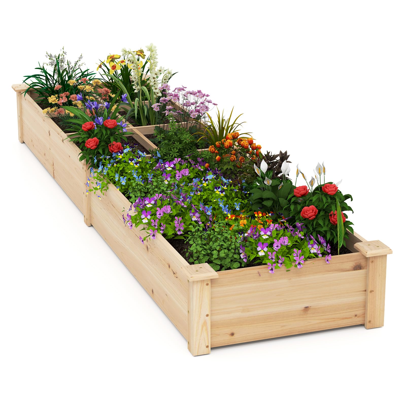 COSTWAY Lettino da Giardino Elevato in Legno con 2 Scatole per Piante e Separatori, Fioriera da Giardino Rialzato in Legno Massiccio da 228 cm per Fiori, Verdure, Frutta e Erbe (Naturale)