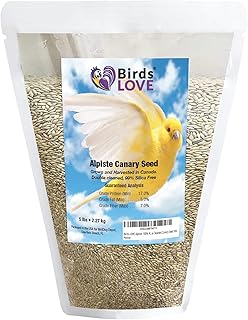 Birds LOVE Alpiste 100% Non-GMO Double Cleaned Canary Seed for Canaries and Finch Birds with No Fillers or Additives | Bird Food Also Deal for Parakeets, Conures, and Budgies