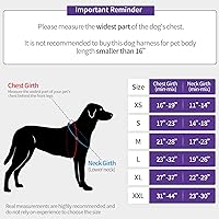 Vista 2 de Dog Harness for Small Puppy Dogs and Cats No Pull Reflective Adjustable Soft Mesh Dog Harness and Leash Set Step in Easy Control Pet Dog Vest