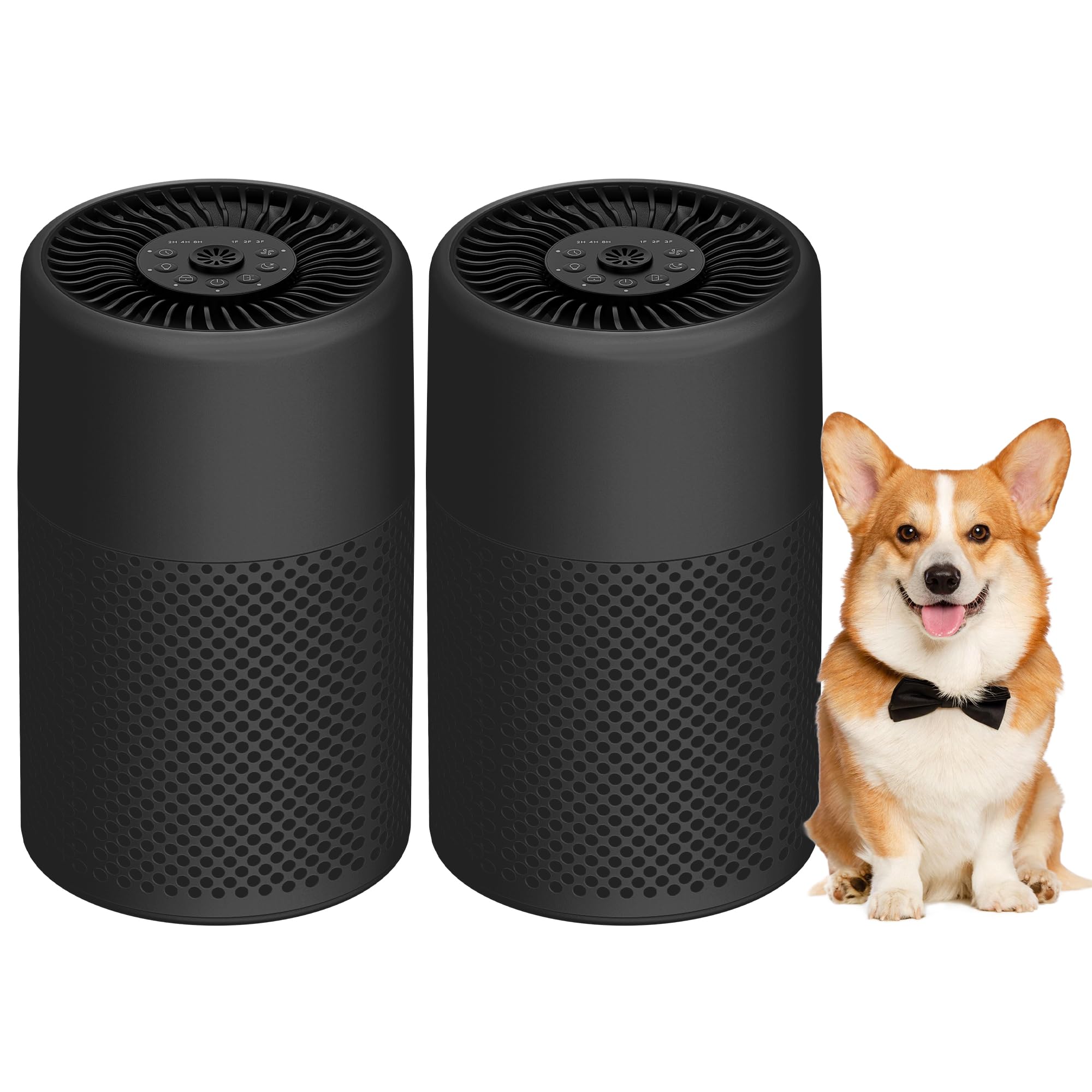 2 Pack Air Purifiers for Bedroom Home, True HEPA Filter for Dust, Smoke, Pet Dander, Small Air Purifier with Sleep Mode for Bedroom Office, Night Light Quiet 24dB, Fragrance Sponge, Graphite