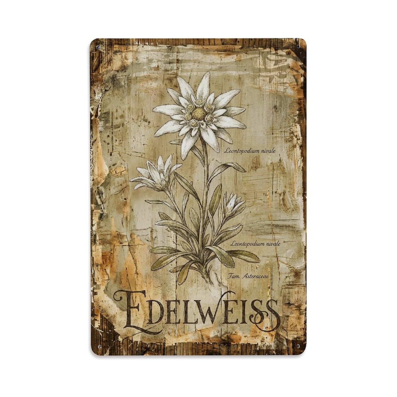 Edelweiss Alpine Flower 1 Vintage Metal Tin Sign Plaque Wall Decor for Cafe, Club, Garden Metal Poster 8x12Inch