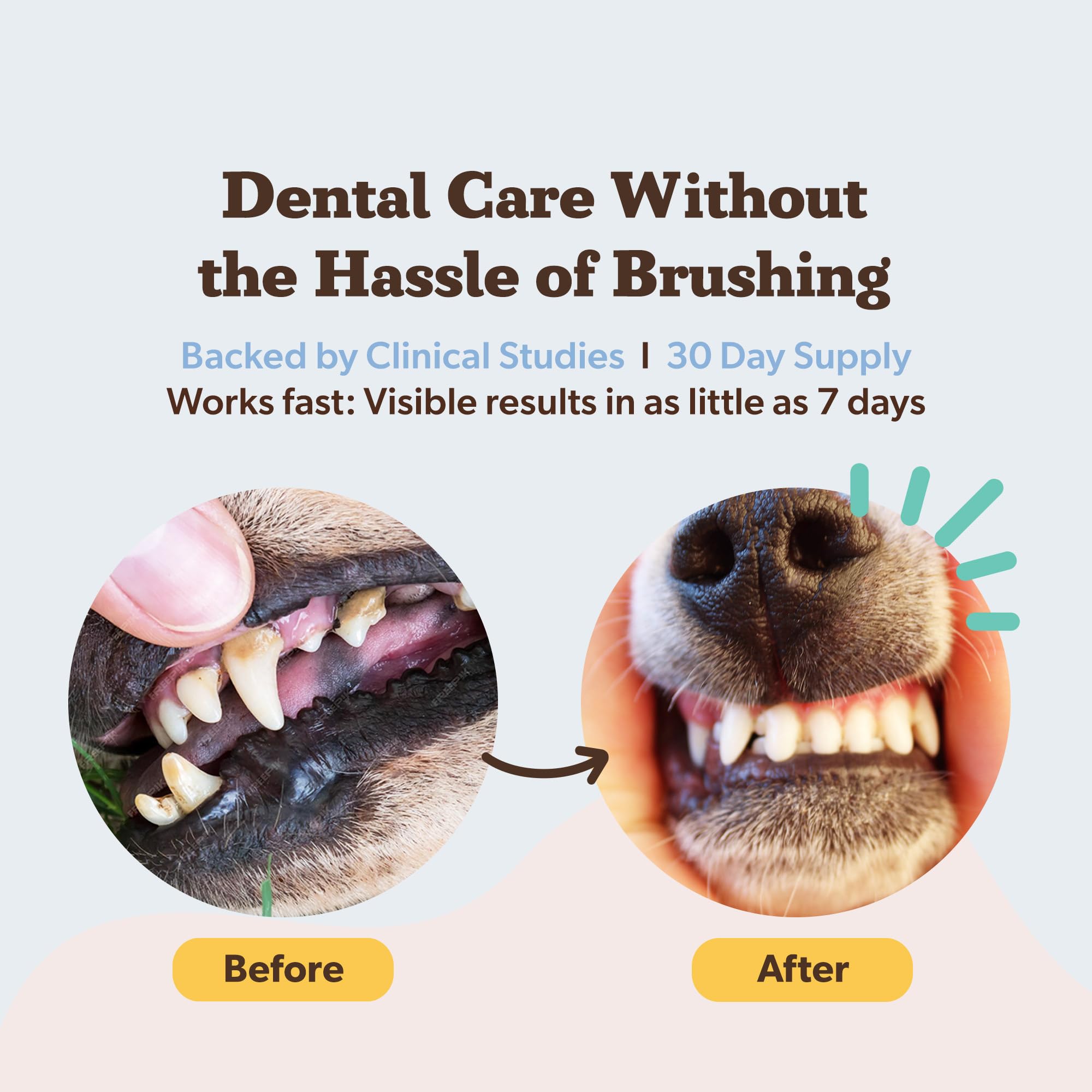 Natural Dog Company Dental Powder for Dogs – Freshens Breath & Helps Reduce Plaque & Tartar, Natural No-Brushing Canine Oral Health Postbiotic Supplement, Vet Formulated, Made in USA, 30-Day Supply - image 2