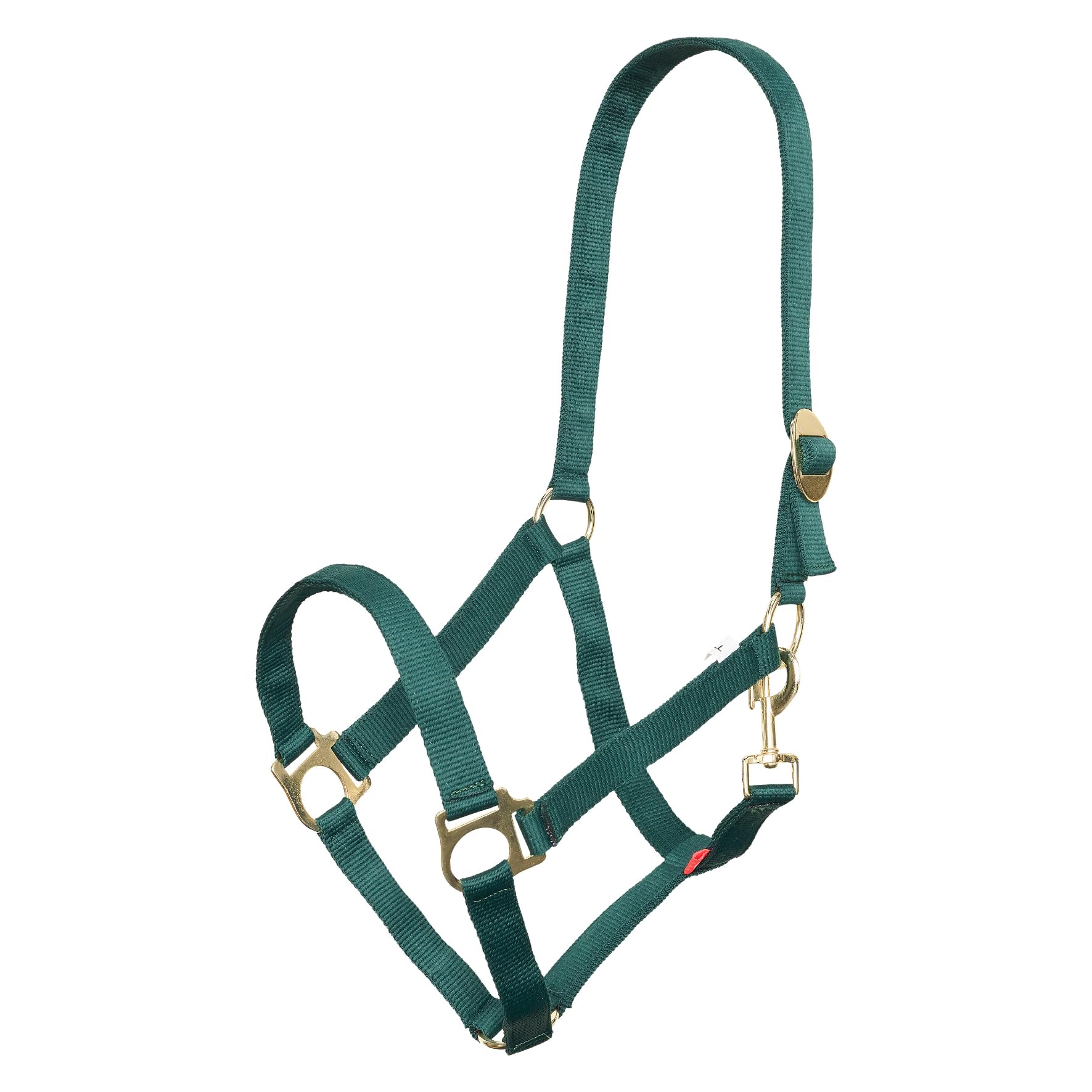 Imperial Riding Headcollar Economic, Heavy Duty 25mm Nylon Halter Adjustable Sliding Buckle, Lobster Claw Strap, Durable & Easy Care for Training, Stable & Everyday Wear, Forest Green, Pony