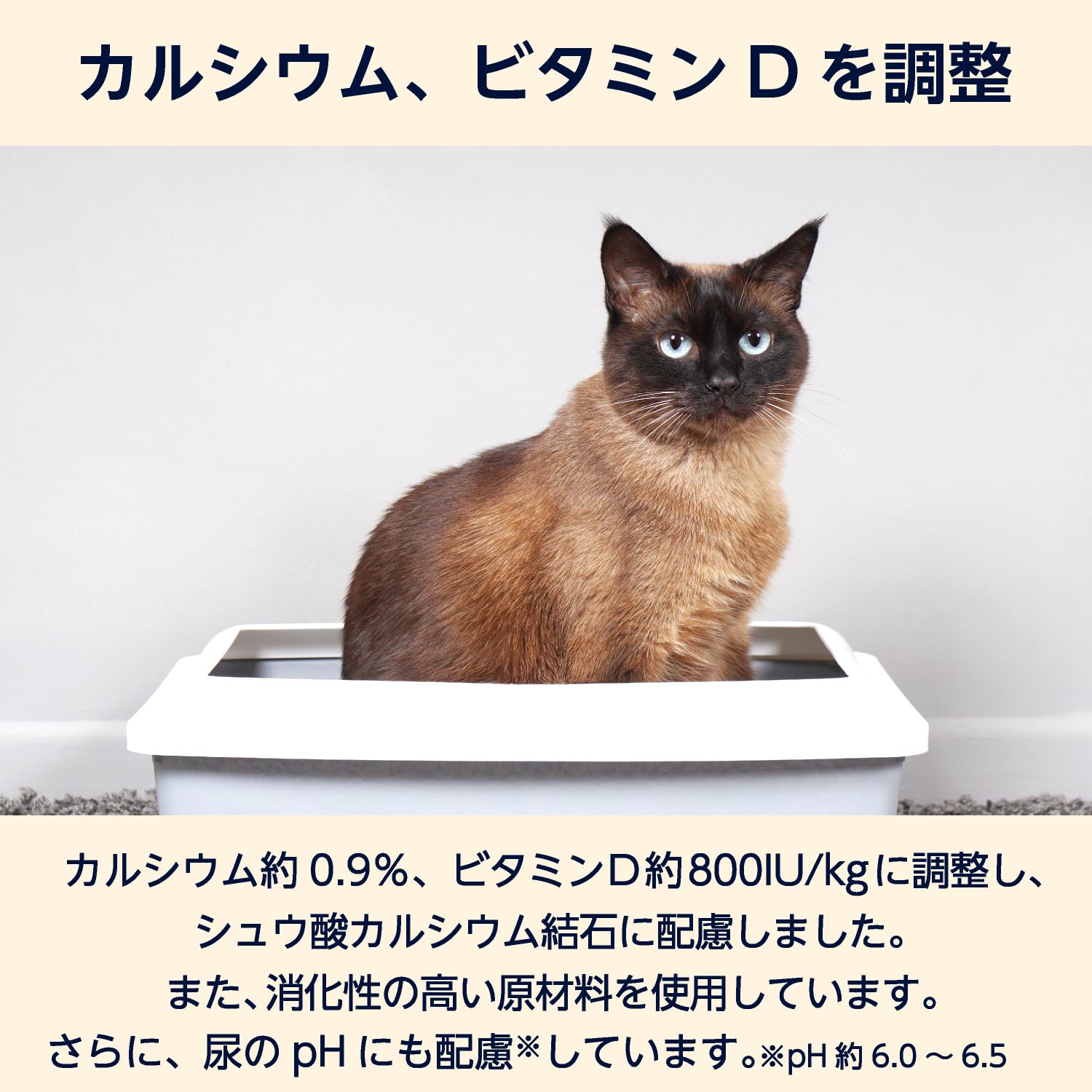 Amazon | by Amazon 猫用食事療法食 下部尿路ケア 低脂肪 500g