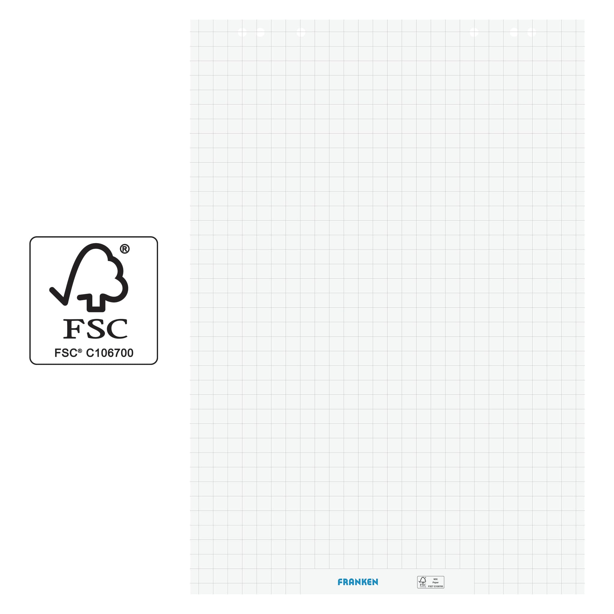 FRANKEN F2130 Papier pour tableau à rabat réversible 80 g/m² à carreaux et vierges 100 feuilles FSC