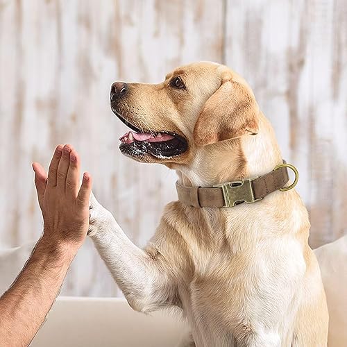 Miniatura 3 de Didog Collar de cuero suave para perro, collares de perro duraderos y resistentes con hebilla metálica de liberación rápida, collar de cuero