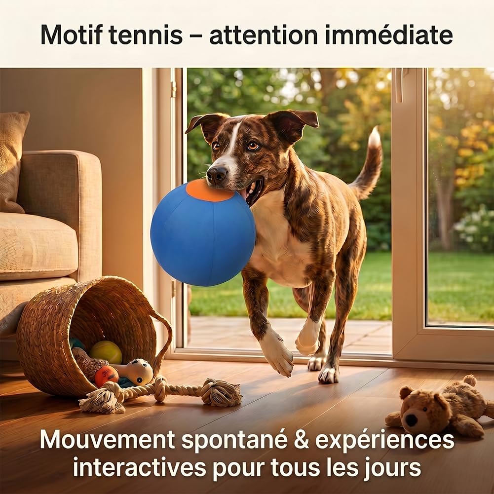 45/55/65 Cm Balle De Troupeau pour Chien | Ballon Géant Gonflable | Ultra Résistant aux Griffes et Mordillements | Poignée de Transport Intégrée | Idéal pour Jeux Interactifs (S:45CM)
