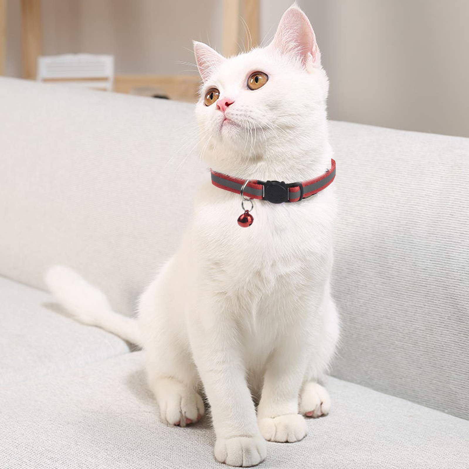 12 Stck Reflektierende Katzenhalsband mit Halsband Katze mit  Sicherheitsverschluss Haustierhalsband mit Glocke Verstellbare  Katzenhalsbnder Welpenhalsbnder Katzen halsbnder Verstellbar 1932cm :  Amazon.de: Haustier