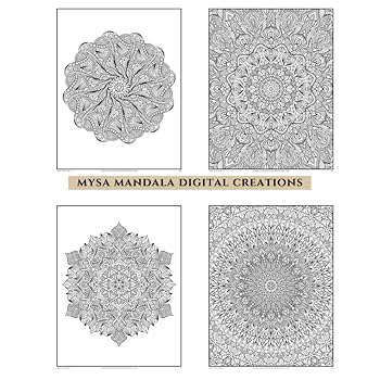Intricate Patterns Adult Coloring Book - Zen Mandalas Series