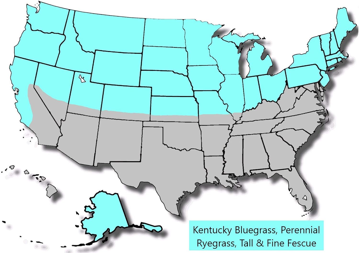 Burlingham Seeds Prime Time 90/10 Mix , 90percent Tall Fescue 10percent Kentucky Bluegrass , Blue TAG Certified Grass Seed (50 lbs (5,000 sq ft)),Brown
