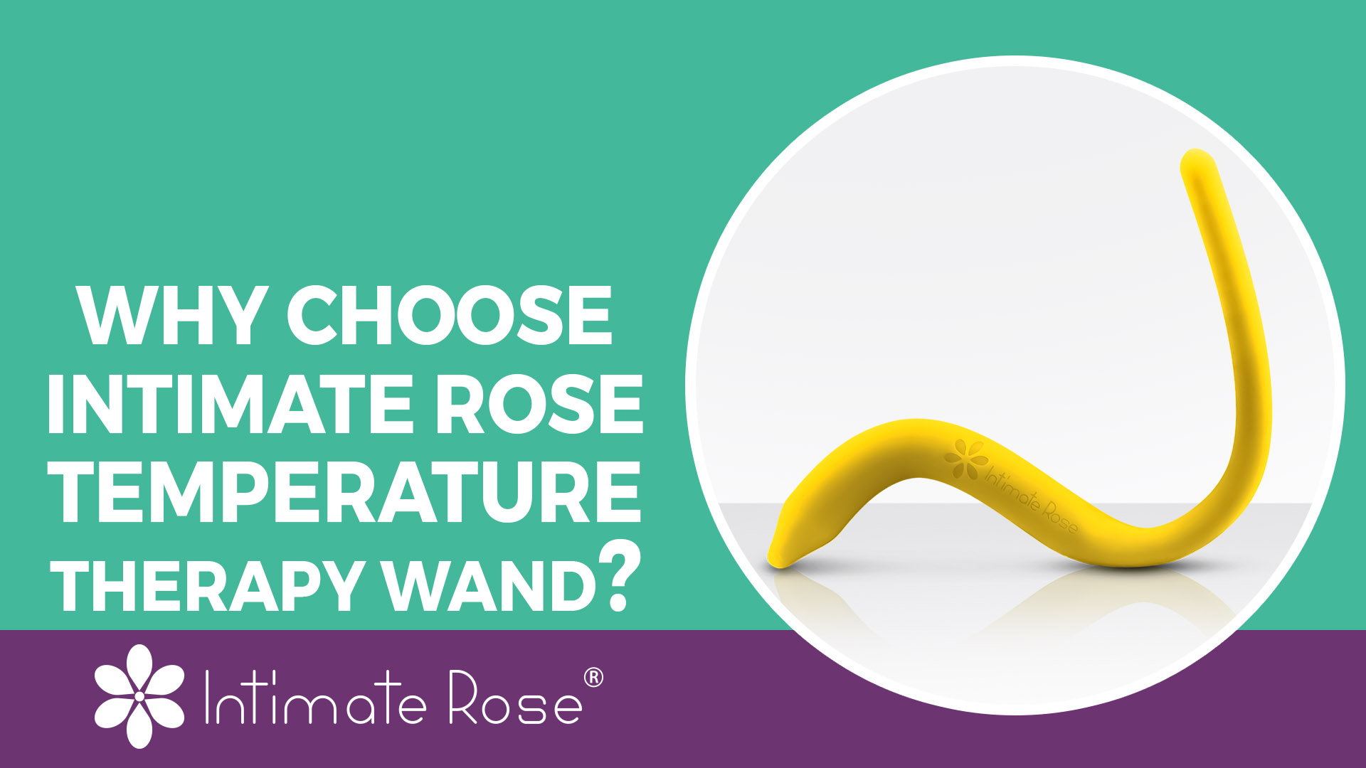 pelvic rose vibration amazon Intimate Rose Vibration Wand for Pelvic Muscle Pain Relief - Use in Pelvic  Physiotherapy for the Release of Nerve Points and Sensitive Points