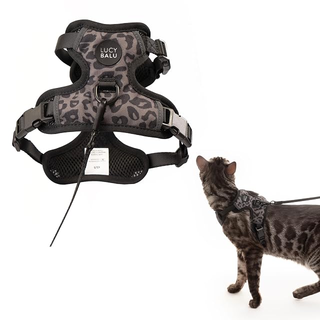 LucyBalu® Explorer - Arnés para gatos con correa